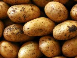 Are You Eating Raw Potatoes? 