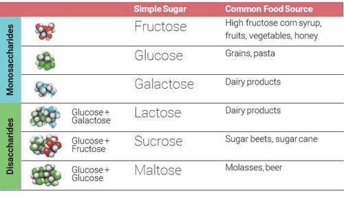 What Is Sugar? 